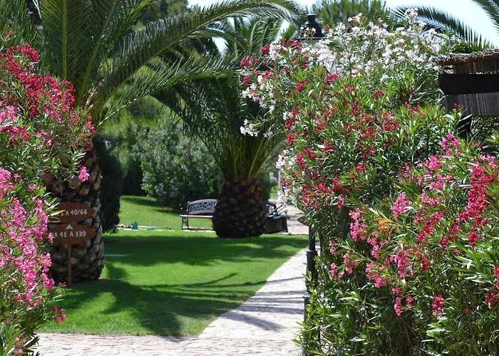 Club 4* Porto Pino
